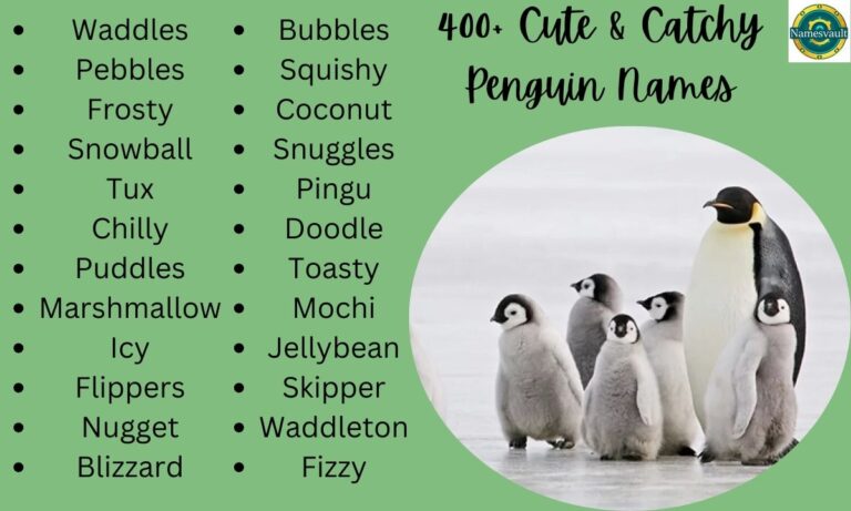 400+ Cute & Catchy Penguin Names [Perfect Ideas]