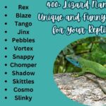 400+ Lizard Names Unique and Funny Picks for Your Reptile