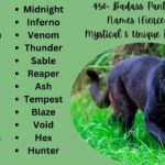 450+ Badass Panther Names [Fierce, Mystical & Unique Ideas]