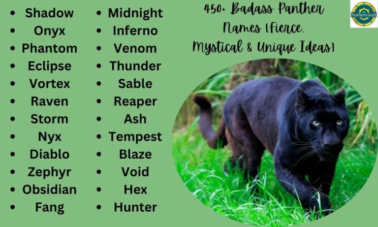 450+ Badass Panther Names [Fierce, Mystical & Unique Ideas]