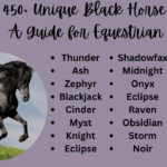 450+ Unique Black Horse Names A Guide for Equestrian Lovers