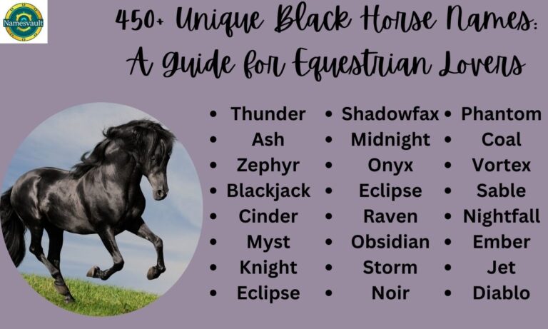 450+ Unique Black Horse Names A Guide for Equestrian Lovers