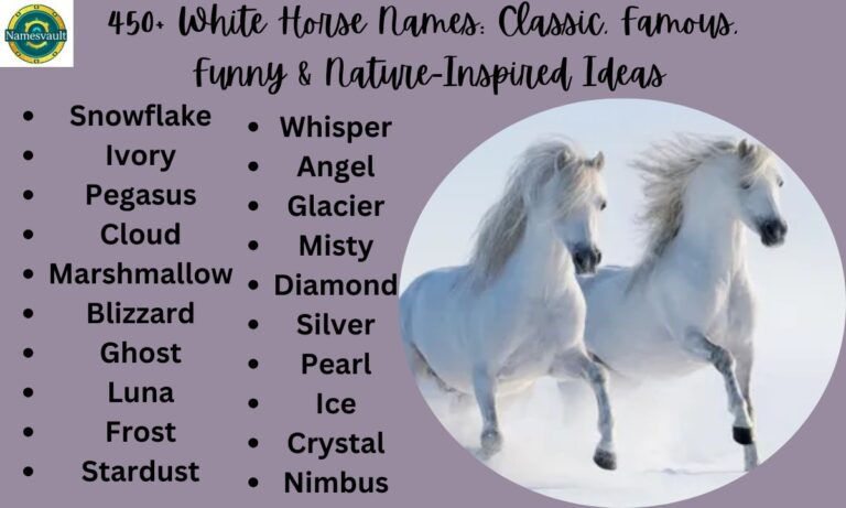 450+ White Horse Names Classic, Famous, Funny & Nature-Inspired Ideas