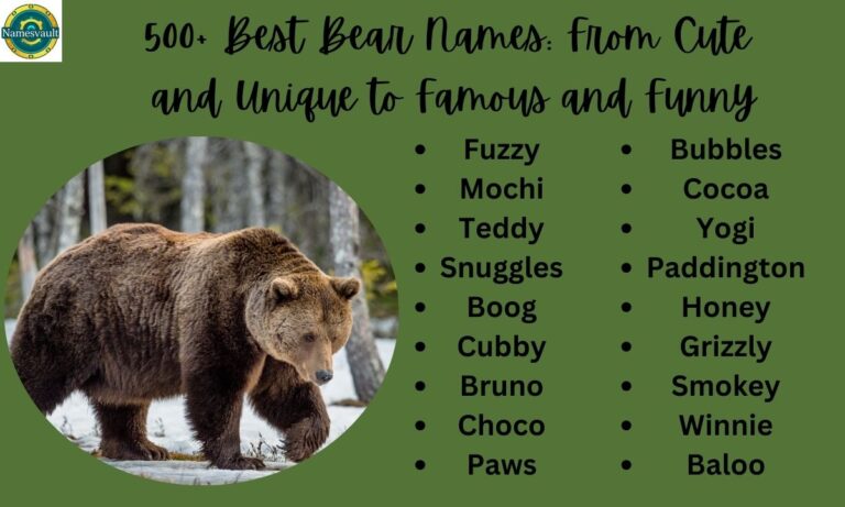 500+ Best Bear Names From Cute and Unique to Famous and Funny