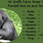 500+ Gorilla Names Unique, Funny, and Powerful Ideas for Your Primate tricks