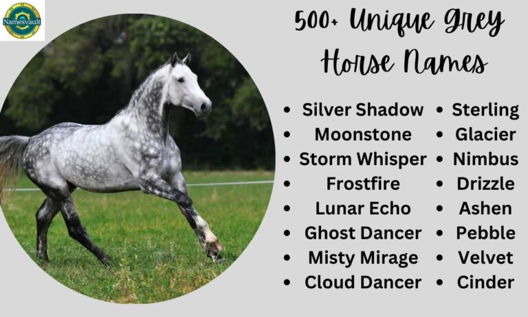 500+ Unique Grey Horse Names to Highlight Their Stunning Elegance