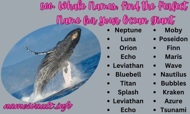 500+ Whale Names Find the Perfect Name for Your Ocean Giant