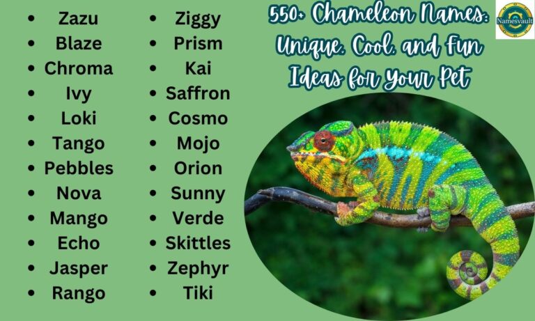 550+ Chameleon Names Unique, Cool, and Fun Ideas for Your Pet