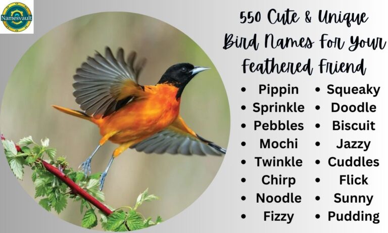 550 Cute & Unique Bird Names For Your Feathered Friend