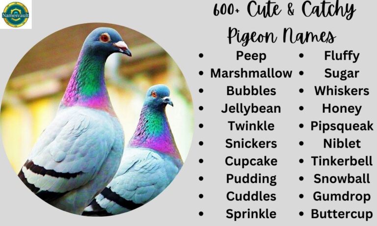 600+ Cute & Catchy Pigeon Names [Perfect Ideas for Your Flocks]