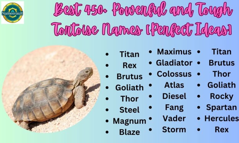 Best 450+ Powerful and Tough Tortoise Names [Perfect Ideas]