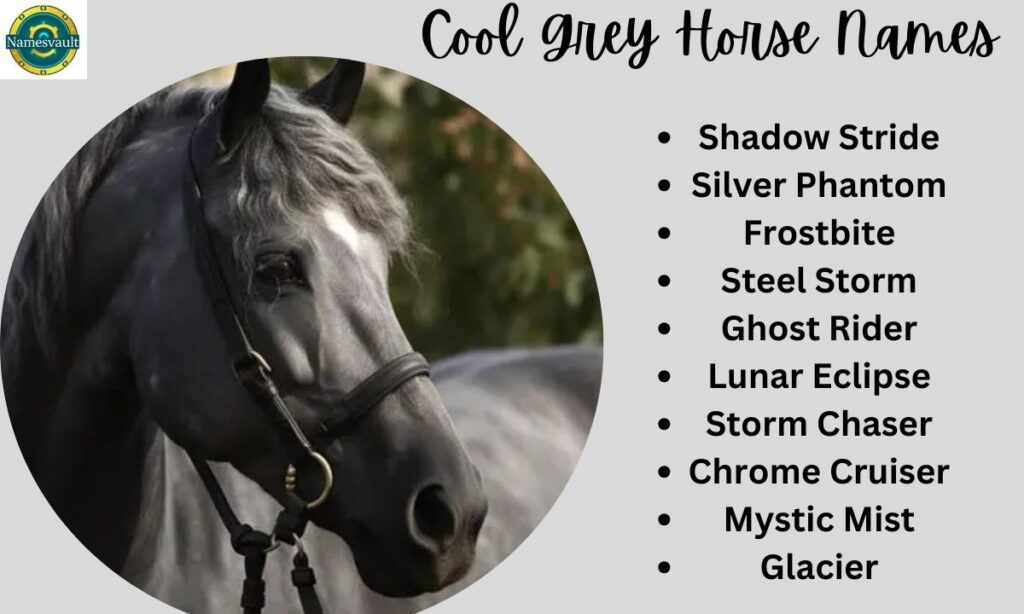 Cool Grey Horse Names