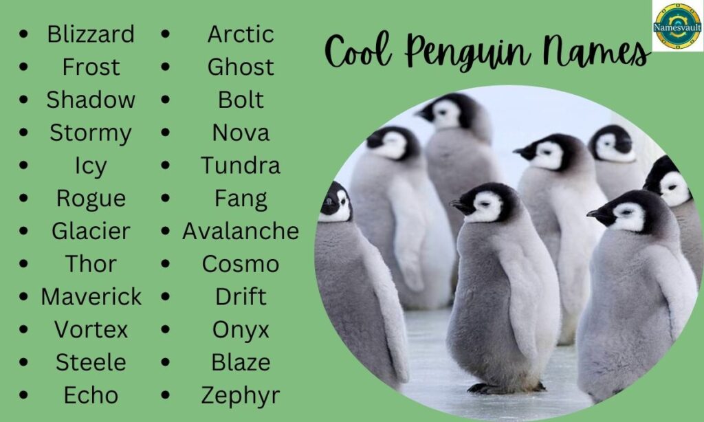 Cool Penguin Names