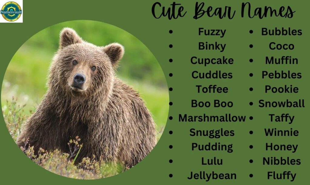 Cute Bear Names