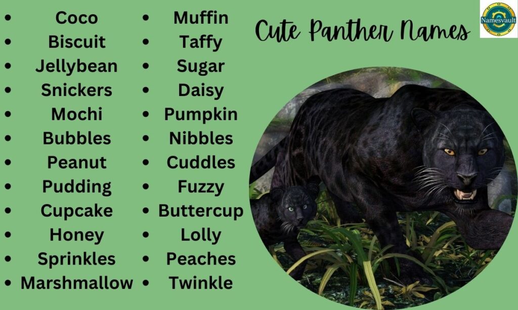 Cute Panther Names