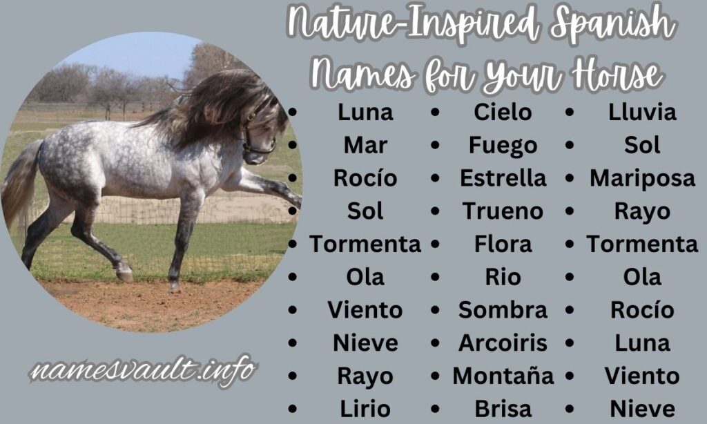 Nature-Inspired Spanish Names for Your Horse