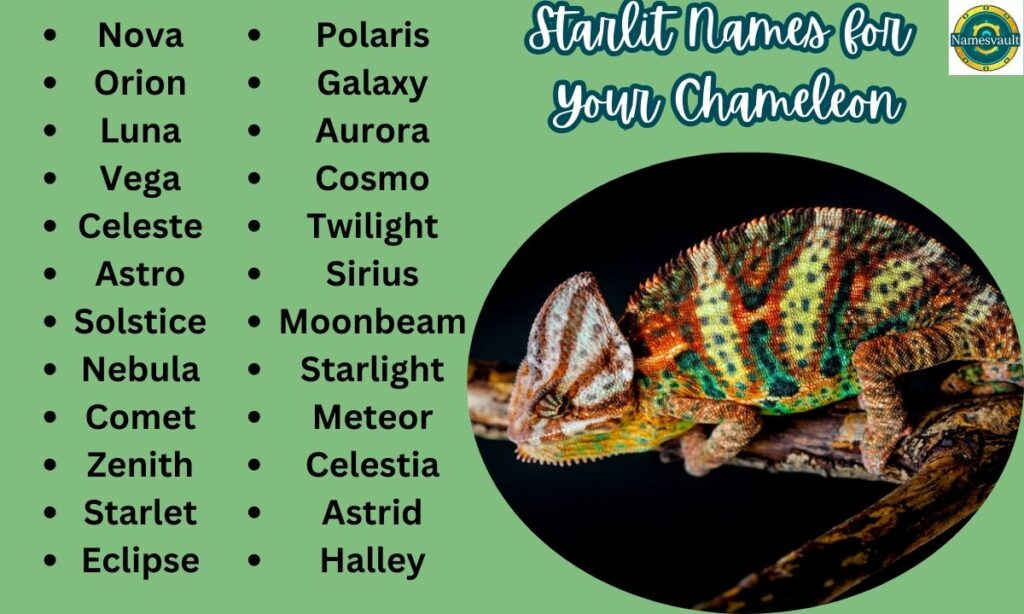 Starlit Names for Your Chameleon