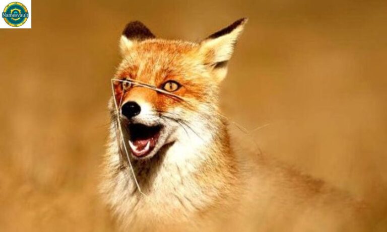 Top 400+ Fox Names Unique, Funny & Best Names with Meanings