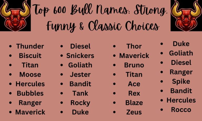 Top 600 Bull Names Strong, Funny & Classic Choices