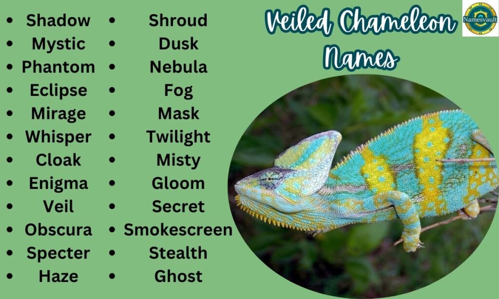 Veiled Chameleon Names