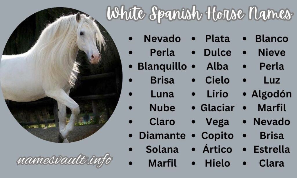 White Spanish Horse Names