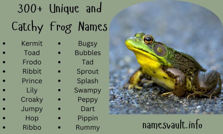 300+ Unique and Catchy Frog Names Cute, Funny, and Creative Ideas