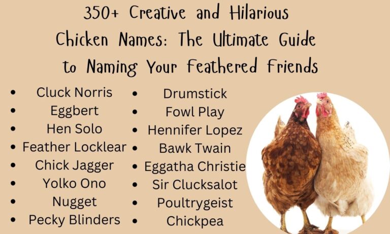 350+ Creative and Hilarious Chicken Names The Ultimate Guide to Naming Your Feathered Friends