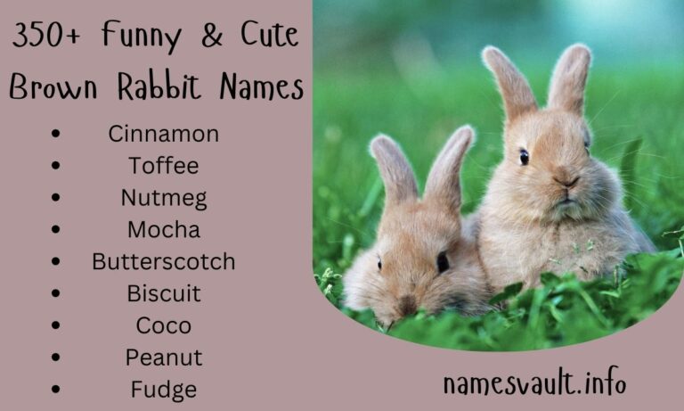 350+ Funny & Cute Brown Rabbit Names The Ultimate Guide