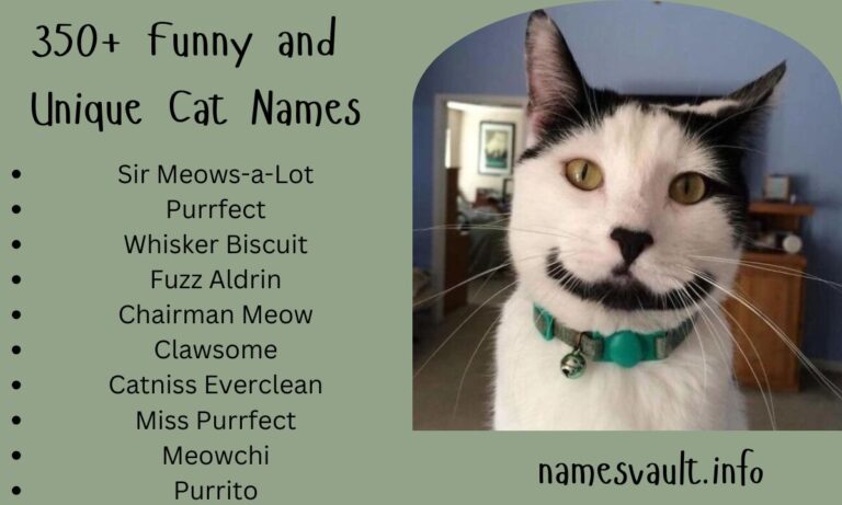 350+ Funny and Unique Cat Names Creative Ideas for Your Feline Friend