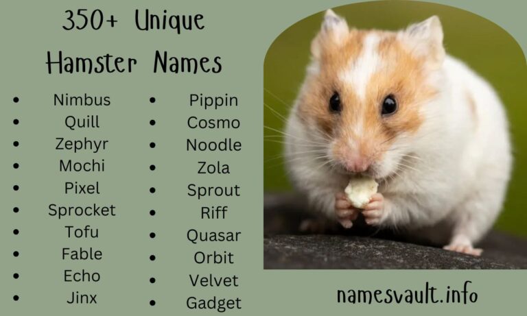350+ Unique Hamster Names Cute, Funny, and Cool Ideas for Your Furry Friend