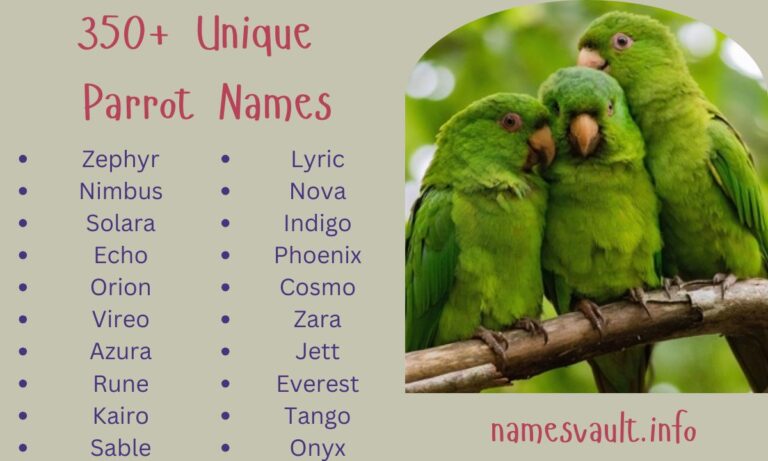 350+ Unique Parrot Names Male, Female, Unisex, Funny, Cute, Famous, and More