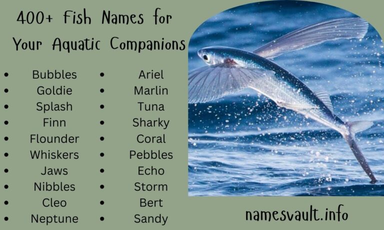 400+ Unique Fish Names for Your Aquatic Companions