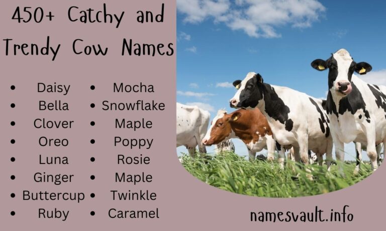 450+ Catchy and Trendy Cow Names to Naming Your Bovine Beauties