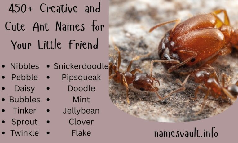 450+ Creative and Cute Ant Names for Your Little Friend