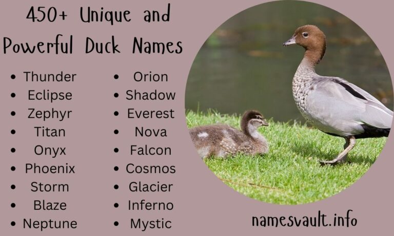 450+ Unique and Powerful Duck Names for Your Feathered Friend