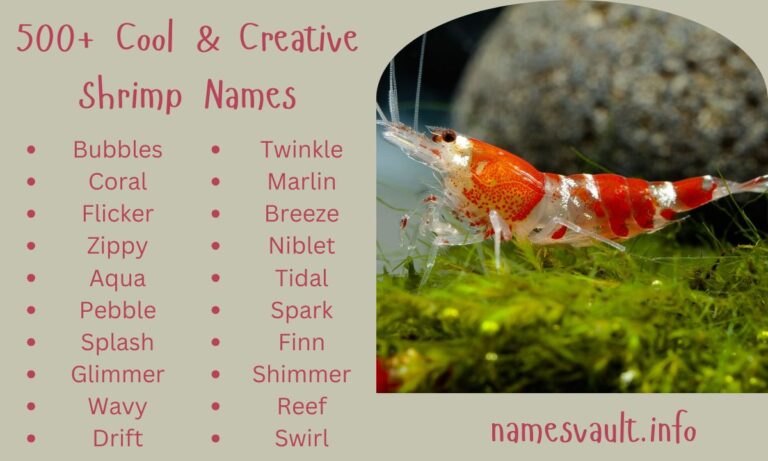 500+ Cool & Creative Shrimp Names for Your Tiny Aquatic Friend