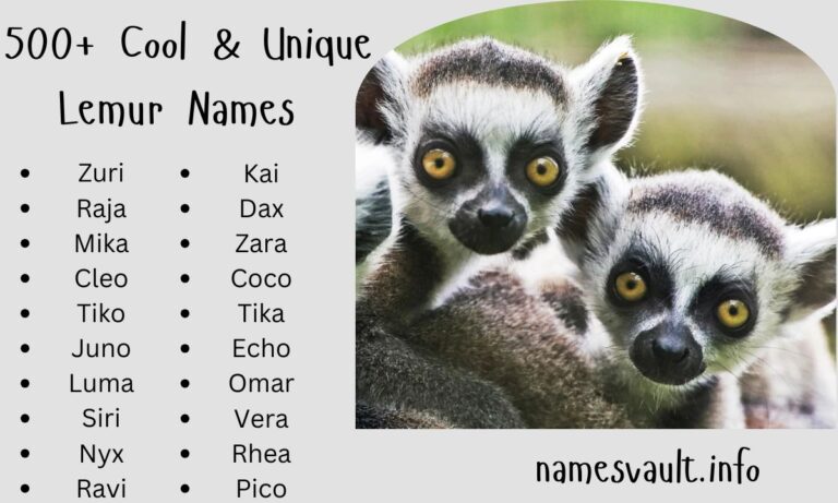 500+ Cool & Unique Lemur Names for Every Personality