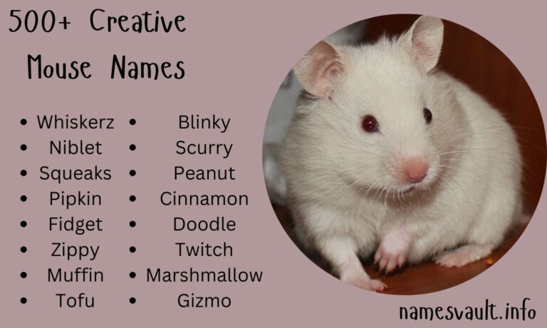 500+ Creative Mouse Names From Classic to Unique Choices