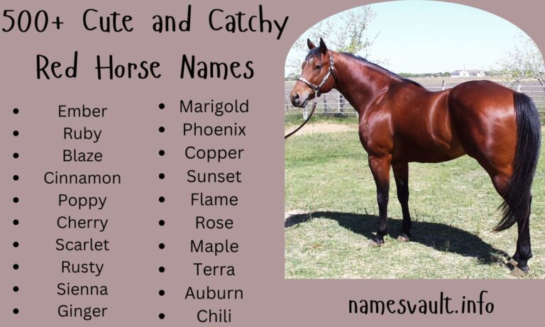 500+ Cute and Catchy Red Horse Names for Your Fiery Companion