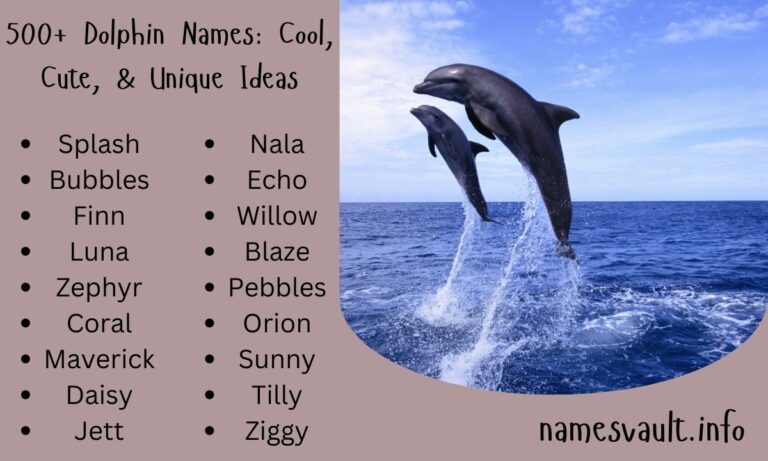 500+ Dolphin Names Cool, Cute, & Unique Ideas