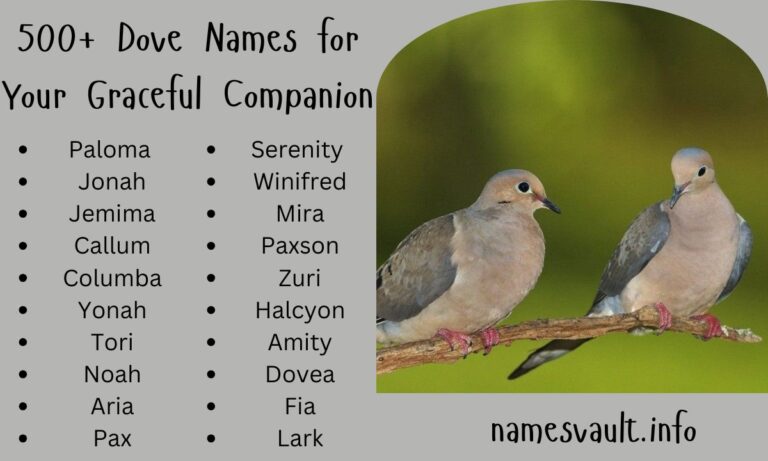 500+ Dove Names for Your Graceful Companion Unique, Elegant, and Meaningful Choices
