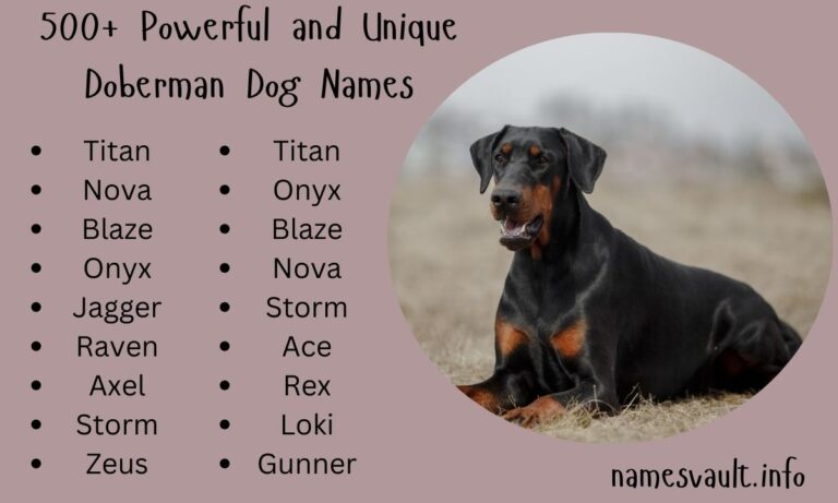 500+ Powerful and Unique Doberman Dog Names Unleash the Perfect Name for Your Loyal Guardian