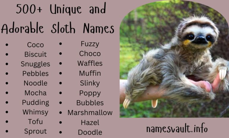 500+ Unique and Adorable Sloth Names for Every Personality