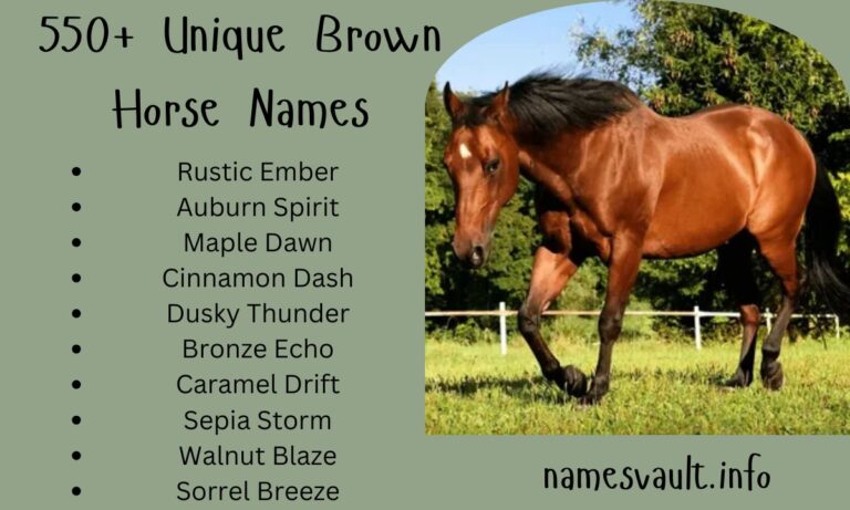 550+ Unique Brown Horse Names Powerful, Cute, and Funny Options