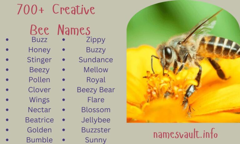 700+ Creative Bee Names Unique, Funny, Cute, and Nature-Inspired Ideas