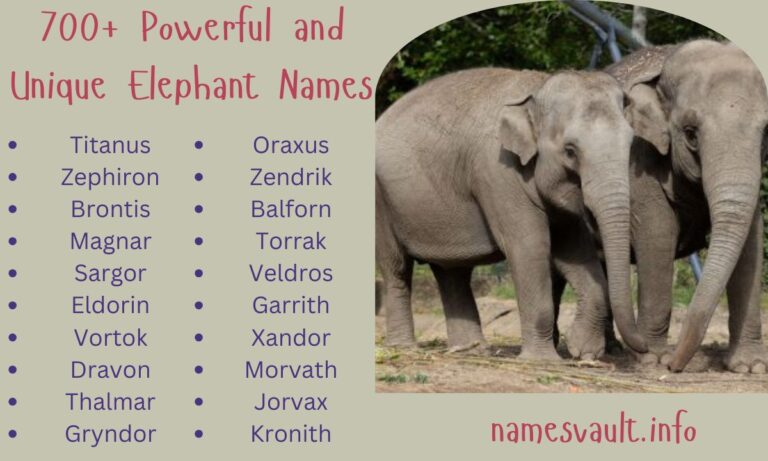700+ Powerful and Unique Elephant Names for Every Personality