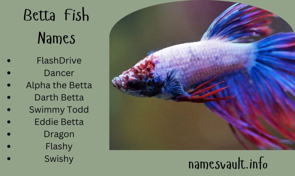 Betta Fish Names