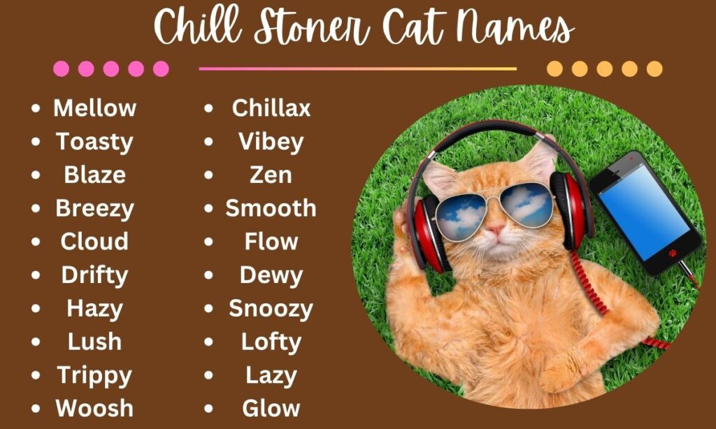 Chill Stoner Cat Names