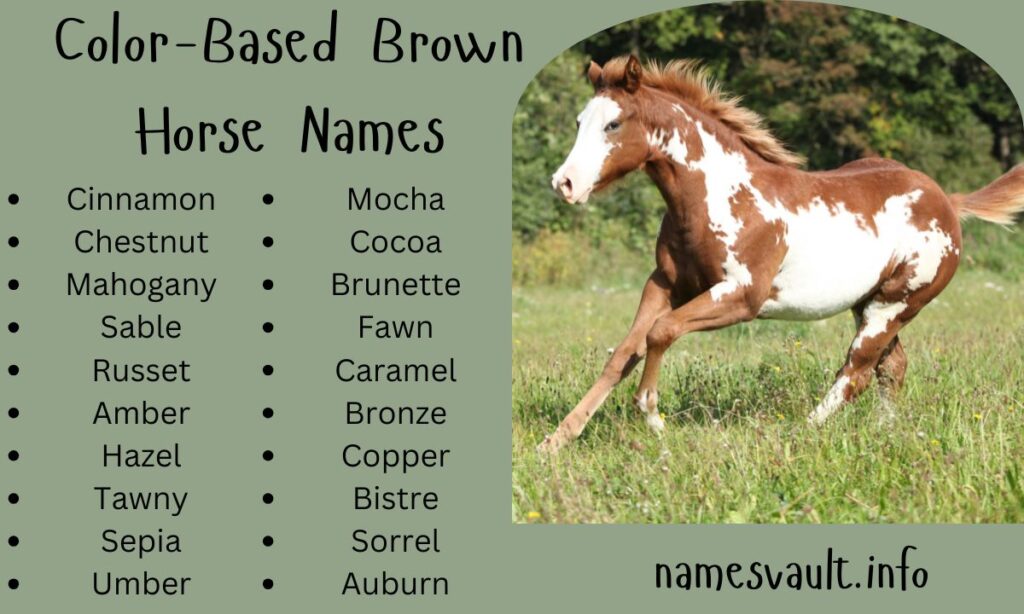Color-Based Brown Horse Names