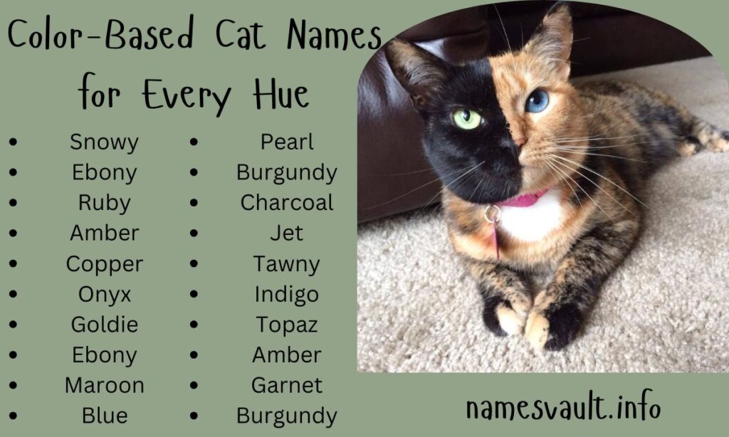 Color-Based Cat Names for Every Hue